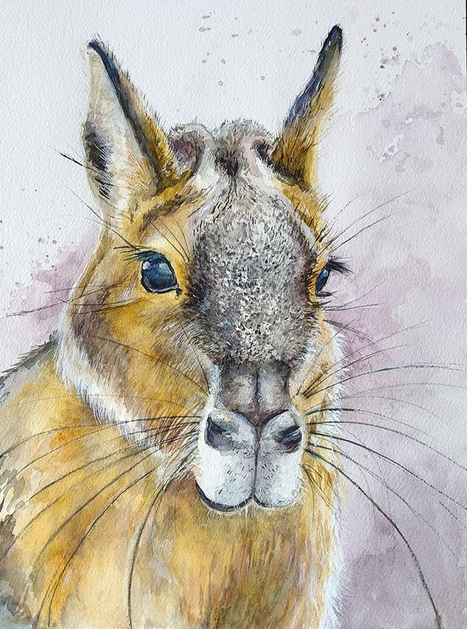 Mara